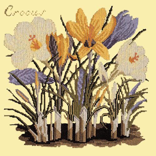 Crocus Needlepoint Kit Elizabeth Bradley Design Butter Yellow 