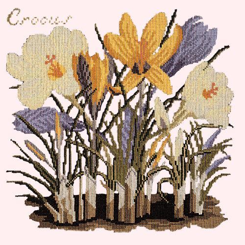 Crocus Needlepoint Kit Elizabeth Bradley Design Cream 