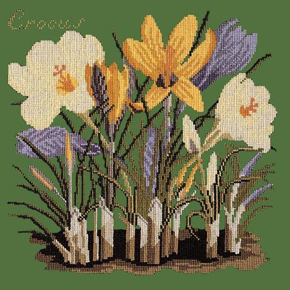 Crocus Needlepoint Kit Elizabeth Bradley Design Dark Green 