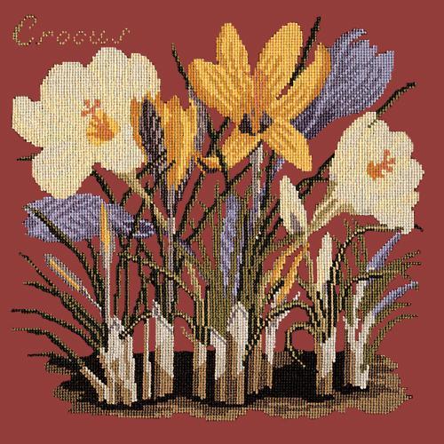 Crocus Needlepoint Kit Elizabeth Bradley Design Dark Red 