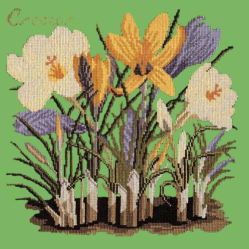 Crocus Needlepoint Kit Elizabeth Bradley Design Grass Green 