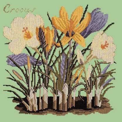 Crocus Needlepoint Kit Elizabeth Bradley Design Pale Green 