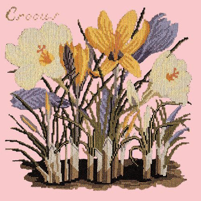 Crocus Needlepoint Kit Elizabeth Bradley Design Pale Rose 