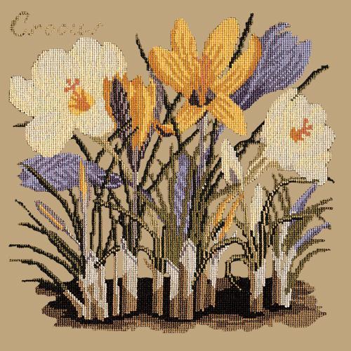 Crocus Needlepoint Kit Elizabeth Bradley Design Sand 