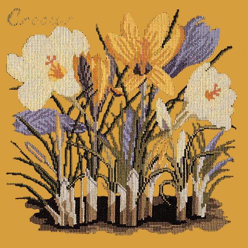 Crocus Needlepoint Kit Elizabeth Bradley Design Yellow 