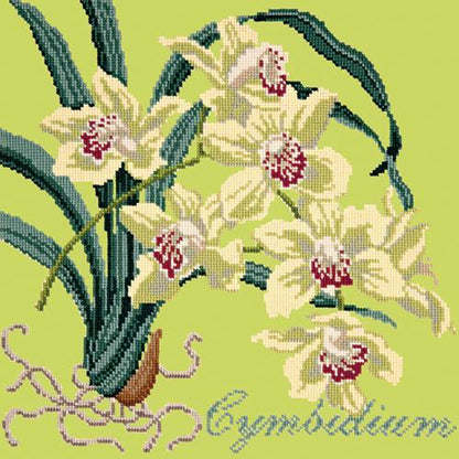 Cymbidium (Boat Orchid) Needlepoint Kit Elizabeth Bradley Design Pale Lime 