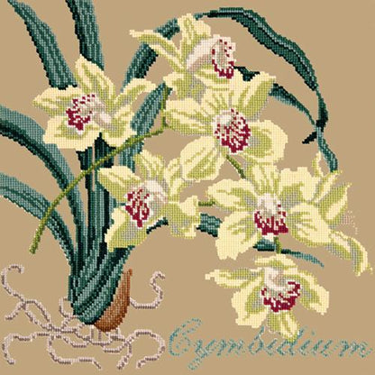 Cymbidium (Boat Orchid) Needlepoint Kit Elizabeth Bradley Design Sand 