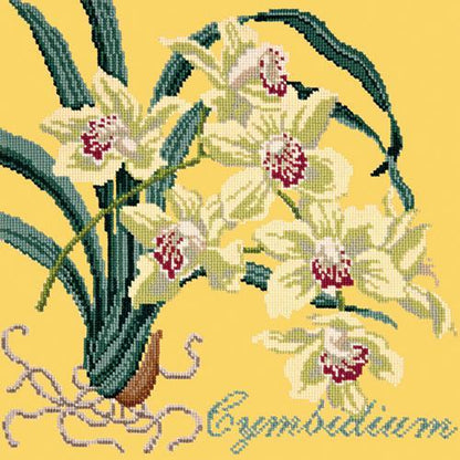 Cymbidium (Boat Orchid) Needlepoint Kit Elizabeth Bradley Design Sunflower Yellow 