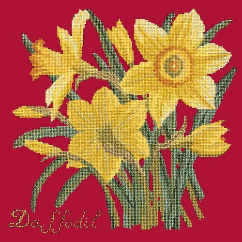 Daffodil Needlepoint Kit Elizabeth Bradley Design Bright Red 