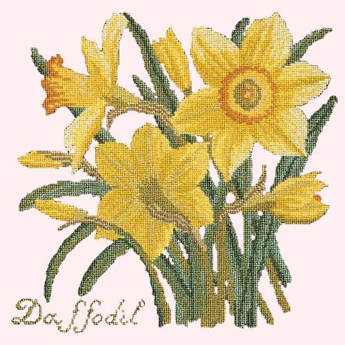 Daffodil Needlepoint Kit Elizabeth Bradley Design Cream 