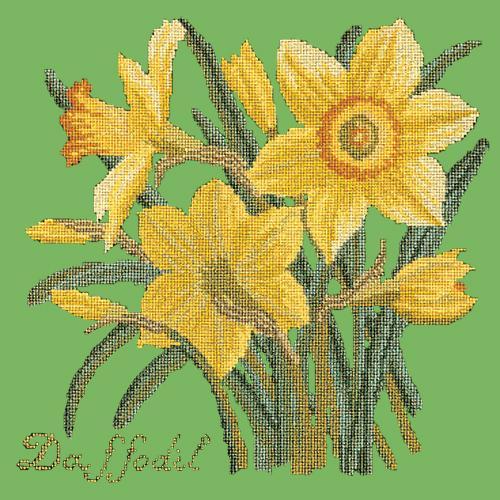 Daffodil Needlepoint Kit Elizabeth Bradley Design Grass Green 