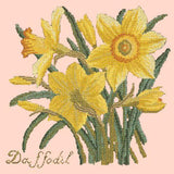 Daffodil Needlepoint Kit Elizabeth Bradley Design Salmon Pink 