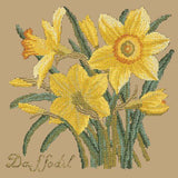 Daffodil Needlepoint Kit Elizabeth Bradley Design Sand 