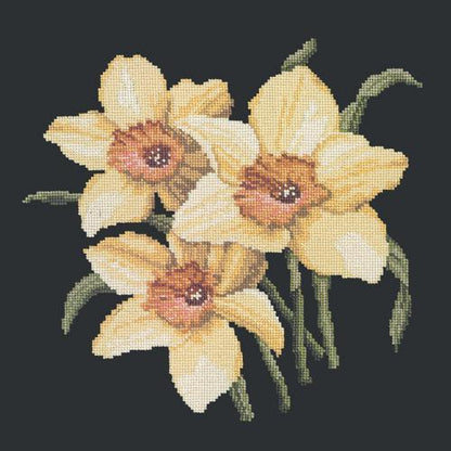 Daffodils Needlepoint Kit Elizabeth Bradley Design Black 