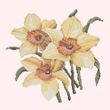 Daffodils Needlepoint Kit Elizabeth Bradley Design Cream 