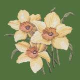 Daffodils Needlepoint Kit Elizabeth Bradley Design Dark Green 