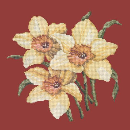 Daffodils Needlepoint Kit Elizabeth Bradley Design Dark Red 