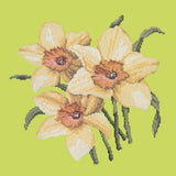Daffodils Needlepoint Kit Elizabeth Bradley Design Pale Lime 