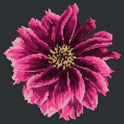 Dahlia Needlepoint Kit Elizabeth Bradley Design Black 