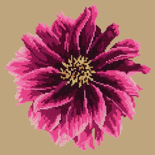 Dahlia Needlepoint Kit Elizabeth Bradley Design Sand 