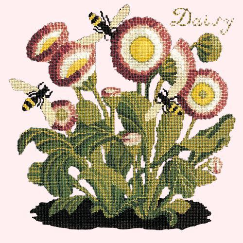 Daisy Needlepoint Kit Elizabeth Bradley Design Cream 