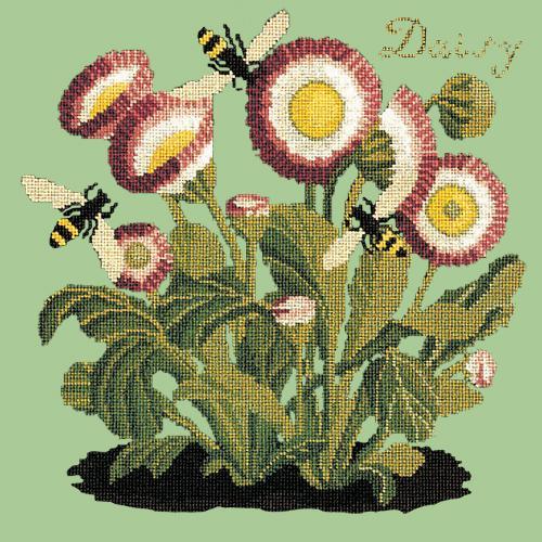 Daisy Needlepoint Kit Elizabeth Bradley Design Pale Green 