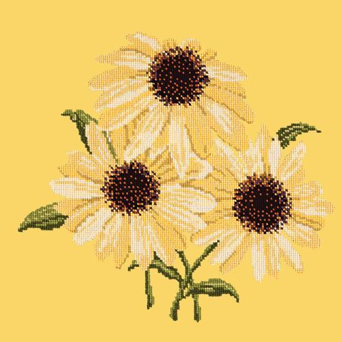 Echinaceas Needlepoint Kit Elizabeth Bradley Design Sunflower Yellow 