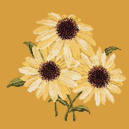 Echinaceas Needlepoint Kit Elizabeth Bradley Design Yellow 