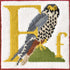 F-Falcon