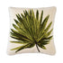 Fan Palm Leaf