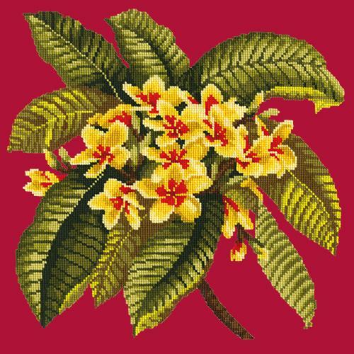 Frangipani Needlepoint Kit Elizabeth Bradley Design Bright Red 