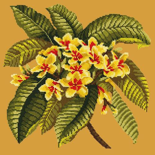 Frangipani Needlepoint Kit Elizabeth Bradley Design Yellow 