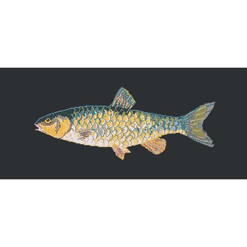 Freshwater Chub Needlepoint Kit Elizabeth Bradley Design Black 