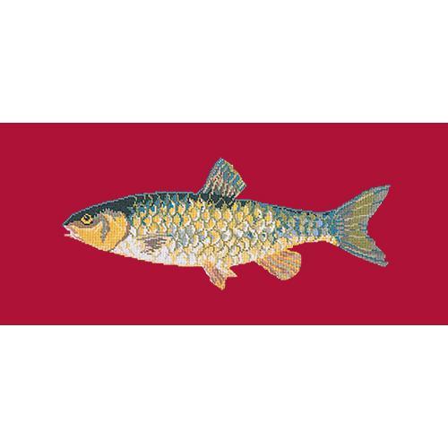 Freshwater Chub Needlepoint Kit Elizabeth Bradley Design Bright Red 