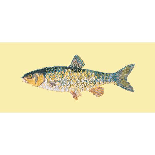 Freshwater Chub Needlepoint Kit Elizabeth Bradley Design Butter Yellow 