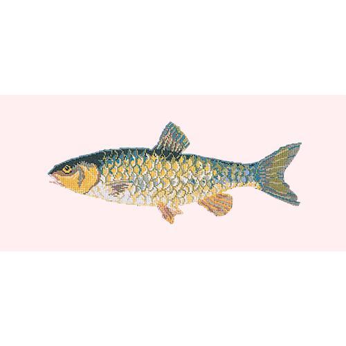 Freshwater Chub Needlepoint Kit Elizabeth Bradley Design Cream 