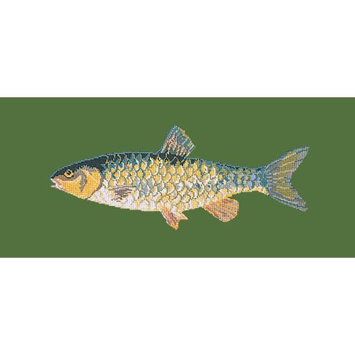 Freshwater Chub Needlepoint Kit Elizabeth Bradley Design Dark Green 