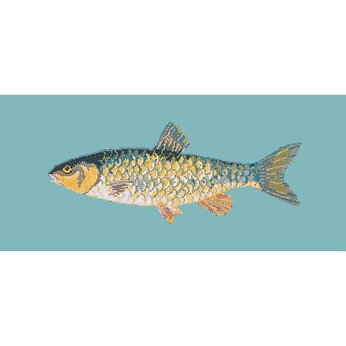 Freshwater Chub Needlepoint Kit Elizabeth Bradley Design Duck Egg Blue 