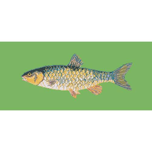 Freshwater Chub Needlepoint Kit Elizabeth Bradley Design Grass Green 