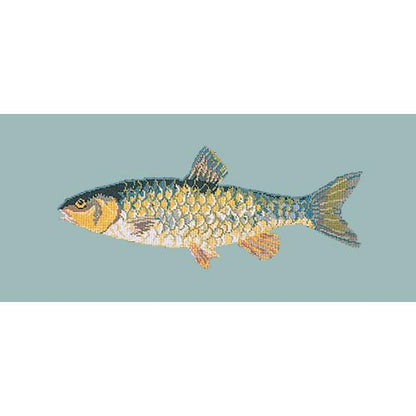 Freshwater Chub Needlepoint Kit Elizabeth Bradley Design Pale Blue 