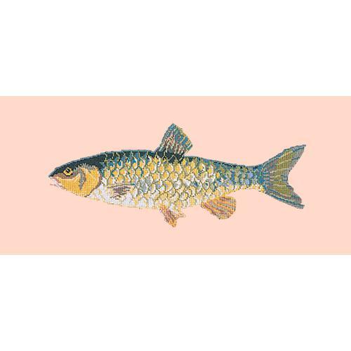 Freshwater Chub Needlepoint Kit Elizabeth Bradley Design Salmon Pink 