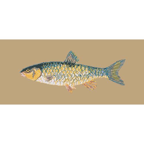 Freshwater Chub Needlepoint Kit Elizabeth Bradley Design Sand 