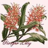 Ginger Lily Needlepoint Kit Elizabeth Bradley Design Cream 