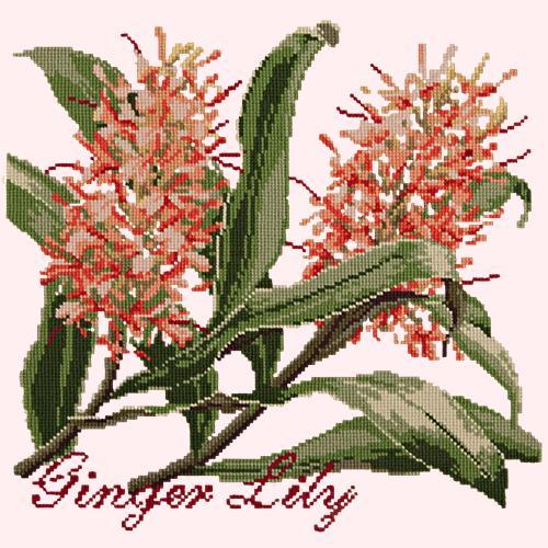 Ginger Lily Needlepoint Kit Elizabeth Bradley Design Cream 