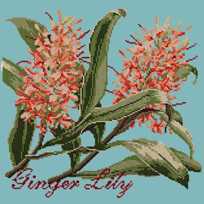 Ginger Lily