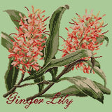 Ginger Lily Needlepoint Kit Elizabeth Bradley Design Pale Green 