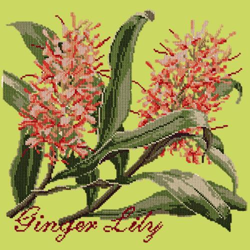 Ginger Lily Needlepoint Kit Elizabeth Bradley Design Pale Lime 