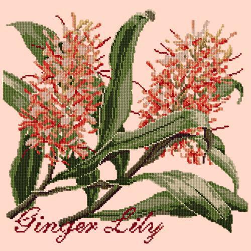 Ginger Lily Needlepoint Kit Elizabeth Bradley Design Salmon Pink 