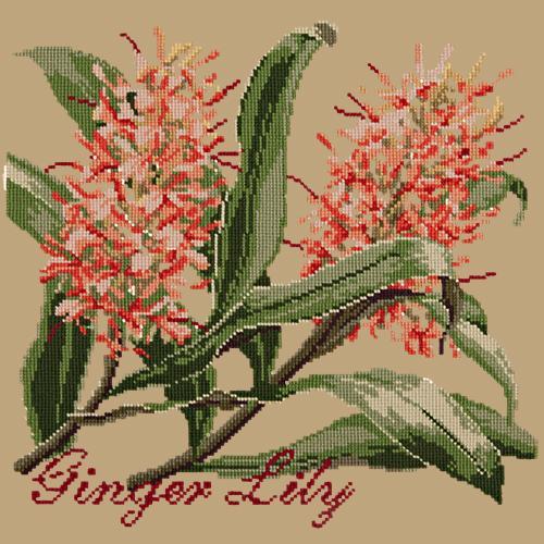 Ginger Lily Needlepoint Kit Elizabeth Bradley Design Sand 