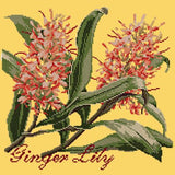 Ginger Lily Needlepoint Kit Elizabeth Bradley Design Sunflower Yellow 